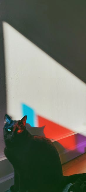 Glitched black cat representing sharp vision